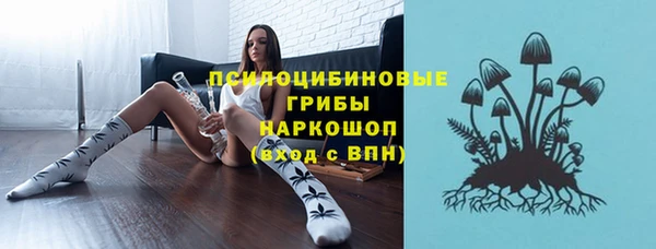 синтетический гашиш Богородицк