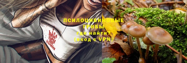 гашишное масло Богданович