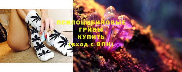 синтетический гашиш Богородицк