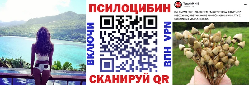 mega маркетплейс  Йошкар-Ола  Галлюциногенные грибы MAGIC MUSHROOMS 